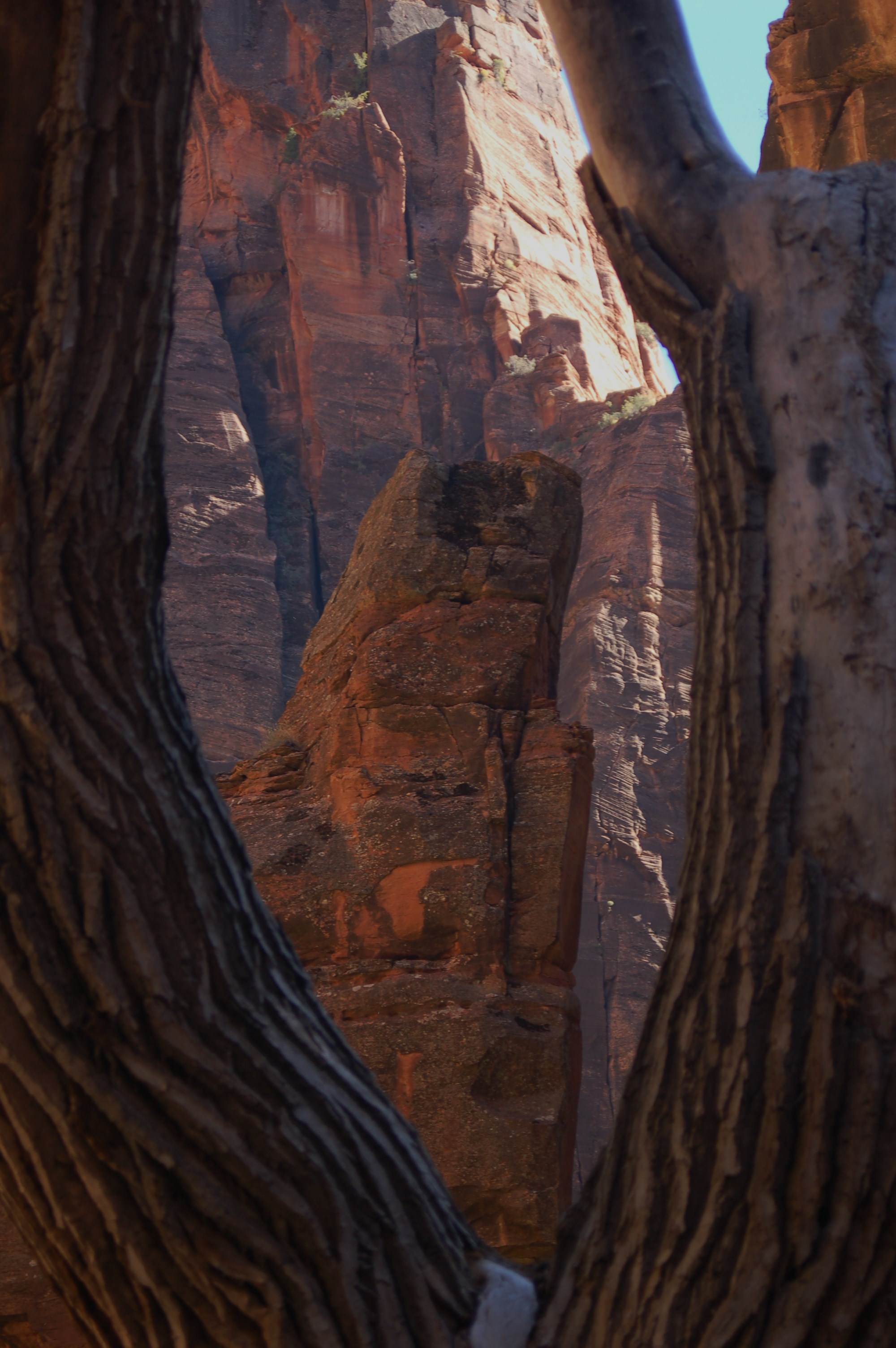 Zion NP